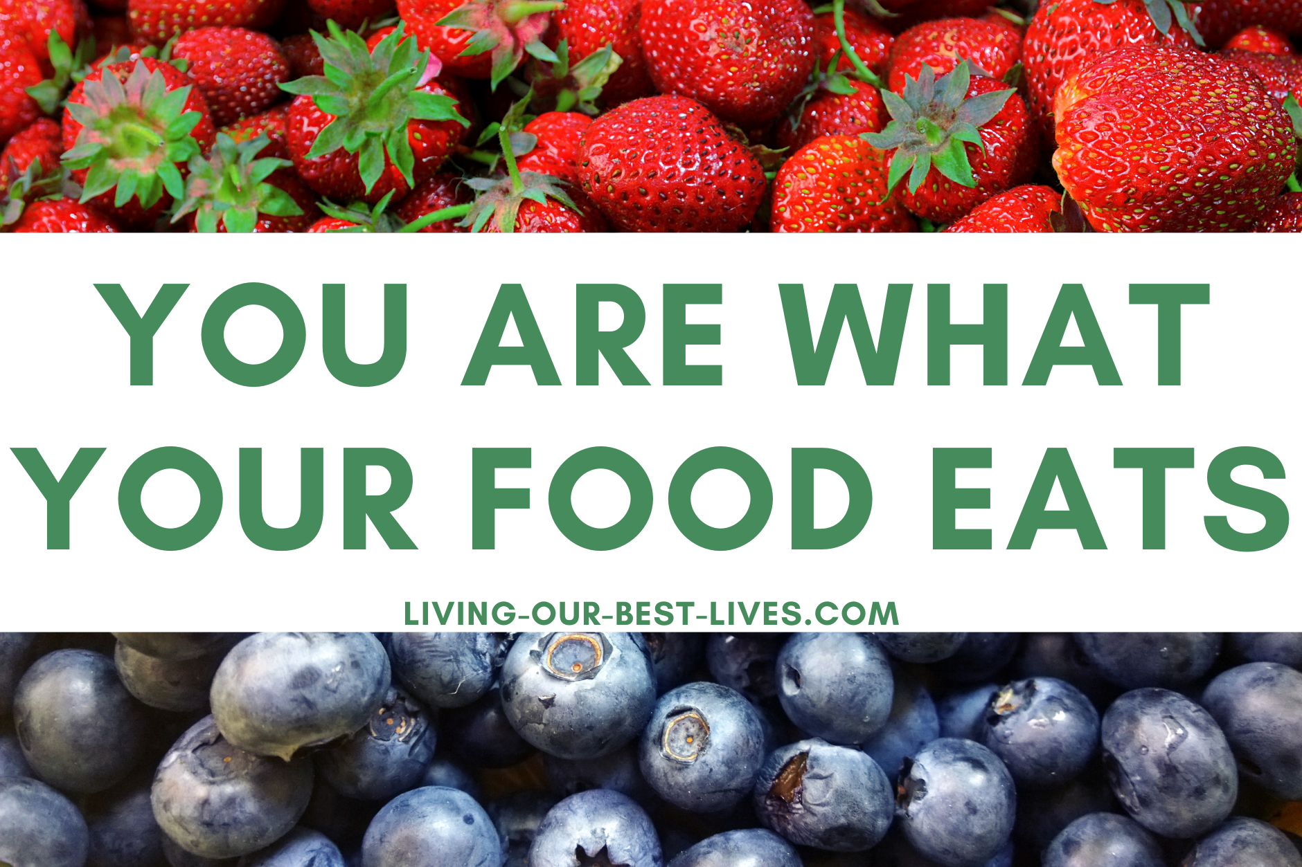 grass fed beef, pasture raised, free-range, pesticides