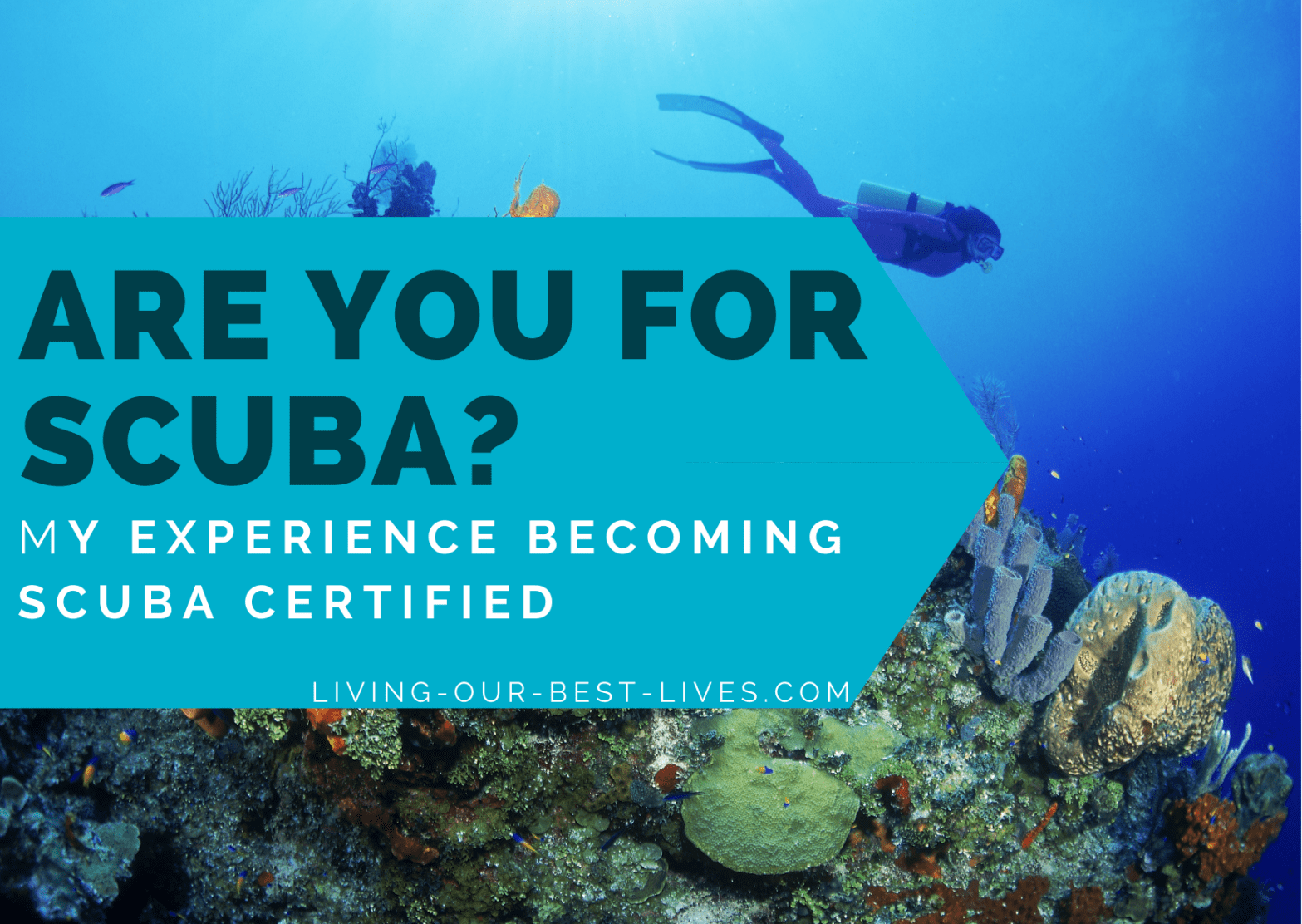 What is it like to go through scuba certification?